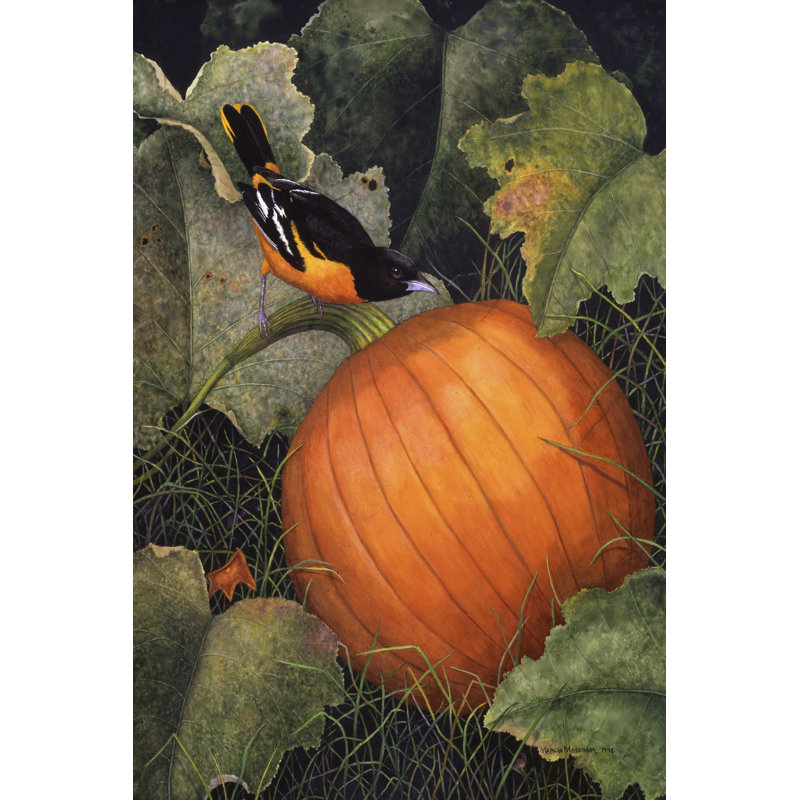 Oriole et citrouille, H 12 po x l 8 po