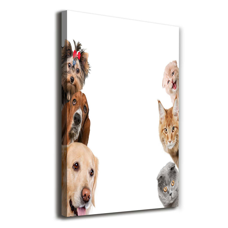 Dogs And Cats - Wrapped Canvas Print