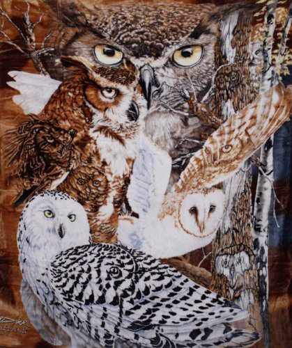 Signature Blanket Crover