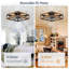 Ventilateur de plafond encastré de ferme de 16 po avec télécommande et application Cissline Cissline