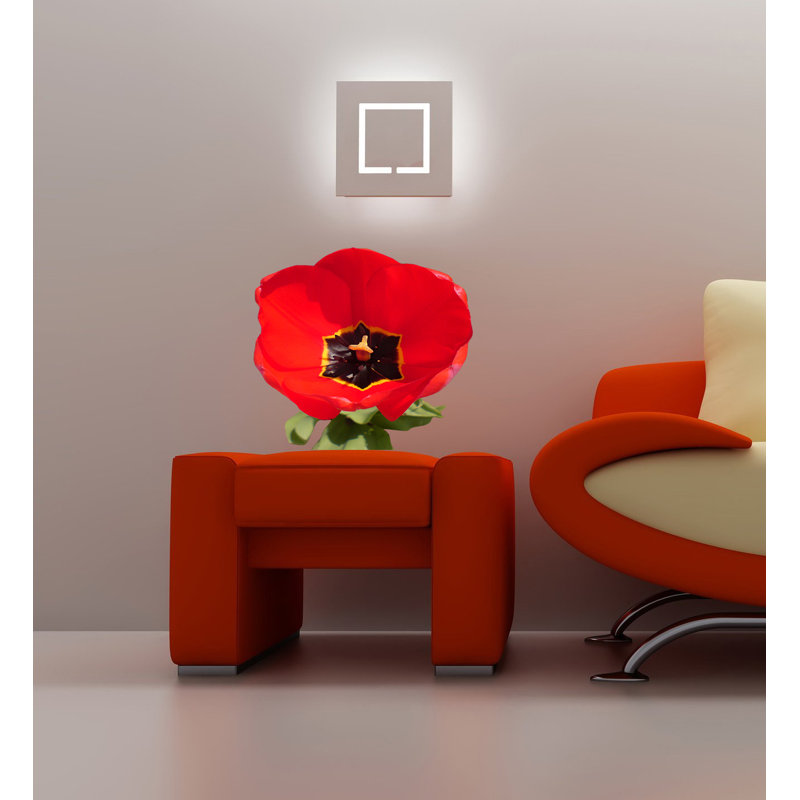 Poppy Plants & Flowers Wall Decal, 22" H x 22" W