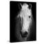 Wrapped Canvas Print-17553660