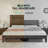 Bilal Solid Wood Platform Bed Frame With 48.6'' Headboard-240524890-240524891