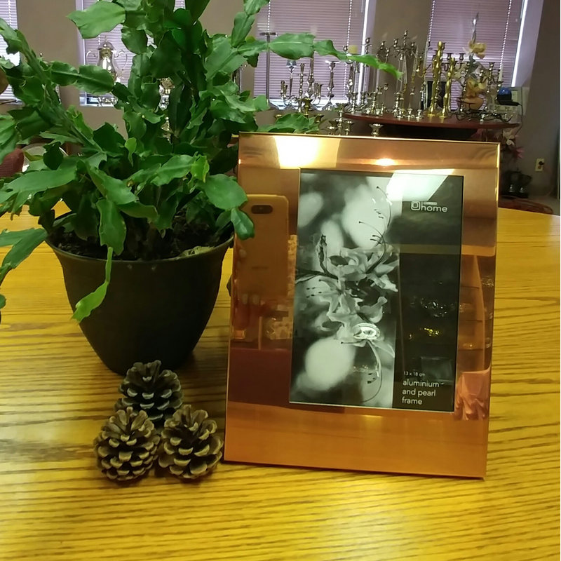 Leger Copper Metal Matte Picture Frame, 5" x 7"