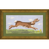 Rabbit Giclee Print by Dana Gibson