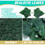 Panneaux de clôture en plastique polyéthylène-101647760