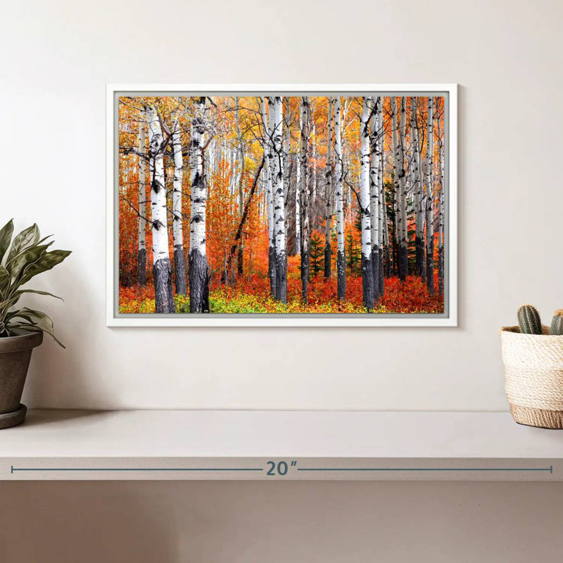 Forêt de trembles de Banff, Cadre flottant blanc, 13 po x 9 po