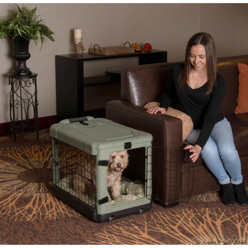 Pet Crate, 21.75" H x 18.25" W x 27" D, Sage