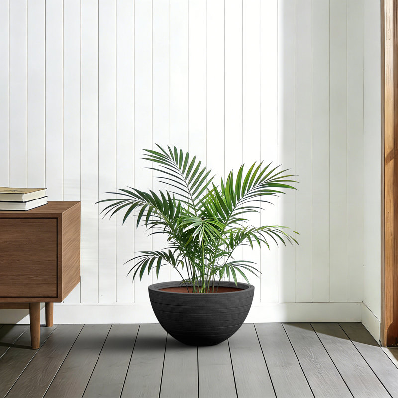 17 in. Large Dark Gray Concrete Round Planter / Pot Lightweight Planter Bowl with Drainage Holes for Indoor & Outdooe