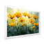 Golden Hour Poppies In Summer II - Poppies, art mural-849495942-1007466346