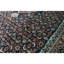 Wool Oriental Area Rug in Red/Blue/Black