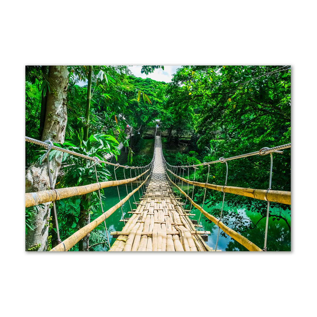 Die Brücke des Regenwaldes - Leinwanddrucke