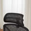Demani Office Chair with Headrest-1219519171