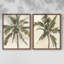 «Antique Watercolor Palm Study I», reproduction encadrée de qualité supérieure - prête à être accrochée - aucun clou requis - aucun clou requis-1111245672-1111245675