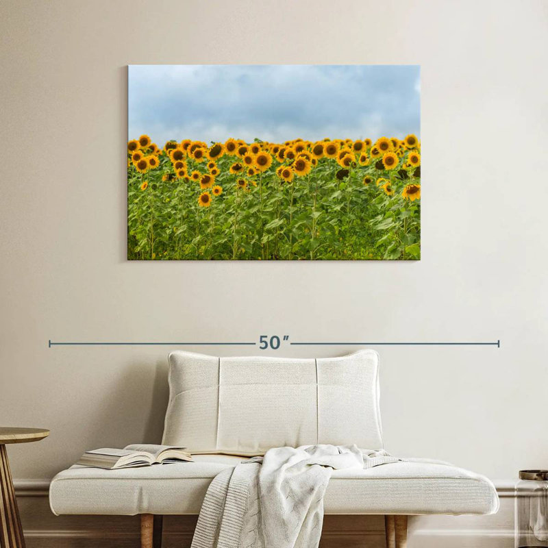 Tournesols Alvord, H 26 po x l 39 po