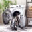 Bayside Performance Machine Washable Oriental Rug-534186006