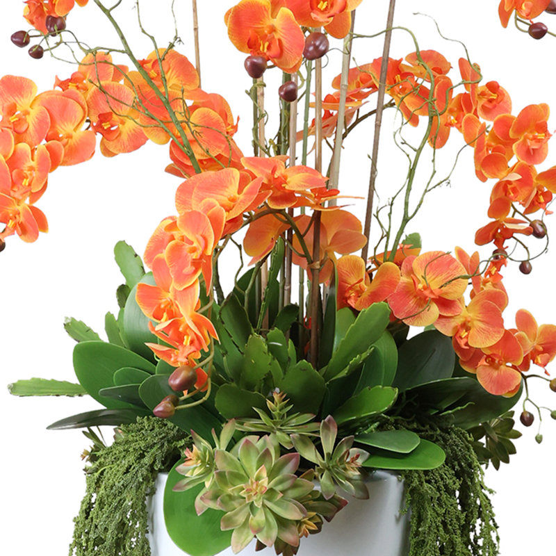 Orchid Arrangement with Cactus in Fiberstone Planter, Orange/Green
