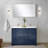 Lafarre 48 in W x 20 in D Double Bath Vanity Mirror & Faucet Set-113113284-104787205