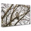 Great Horned Owl Resting - Wrapped Canvas Painting-56661337