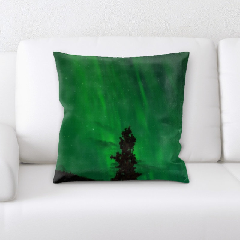 Coussin décoratif