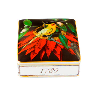 Amazōnia Porcelain China Decorative Box