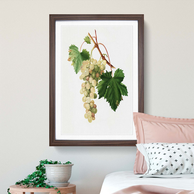 Muscat Grapes by Giorgio Gallesio - Picture Frame Painting Print, 48cm H x 36cm W x 2cm D, Walnut Framed