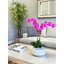 Orchids In A White Container With Rocks