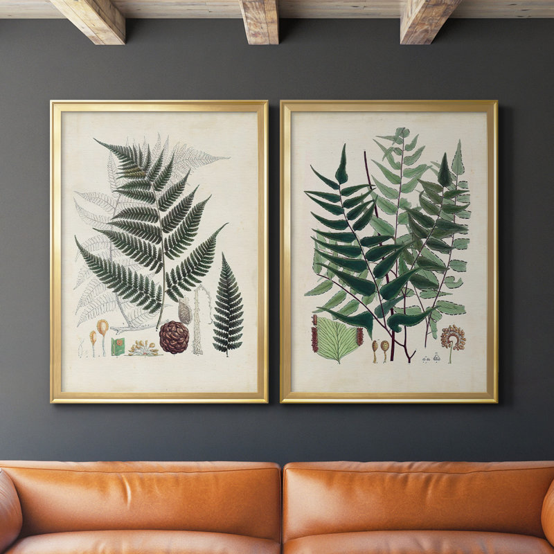 Collection de fougères VI - ensemble de 2 reproductions d'art sur toile encadrées, Or, H 42,5 po x l 61 po x P 1,25 po