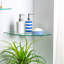 Harbour Housewares - Floating Glass Corner Shelf with Silver Brackets-98431231