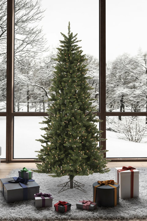 The Camdon Fir Collection