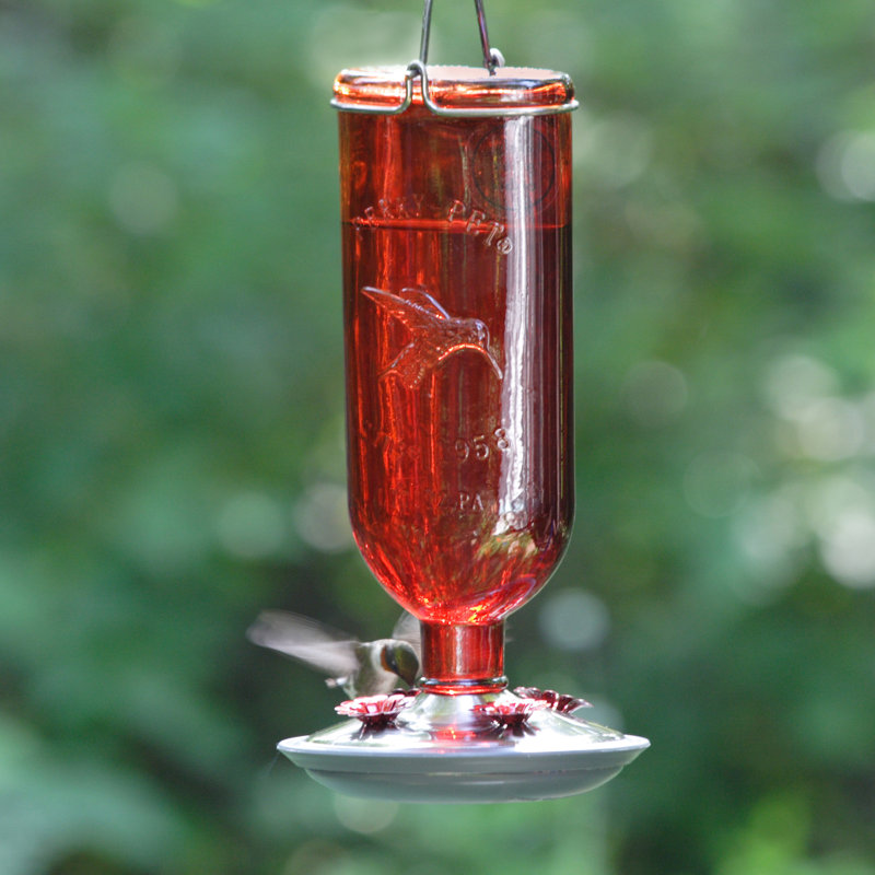Mangeoire à colibri en verre antique Perky-Pet - 16 onces, rouge