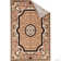 Oriental Indoor Rug