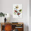 Painted Bunting by John Audubon - 1 Piece Painting on Canvas-1527762840-1527762841