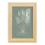 Ferns On Sage VII, encadré sur papier-1510898620-1510898603