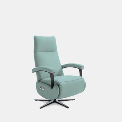 Munising 70cm Wide Swivel