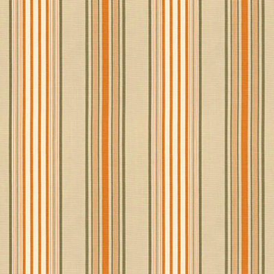 Saratoga Cotton Stripe Fabric