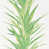 Botanical Green