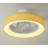 Jiren Dimmable Flush Mount LED Ceiling Fan with Remote Control-586990035