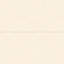 Shandar 24 in. x 48 in. Glazed Porcelain Tile