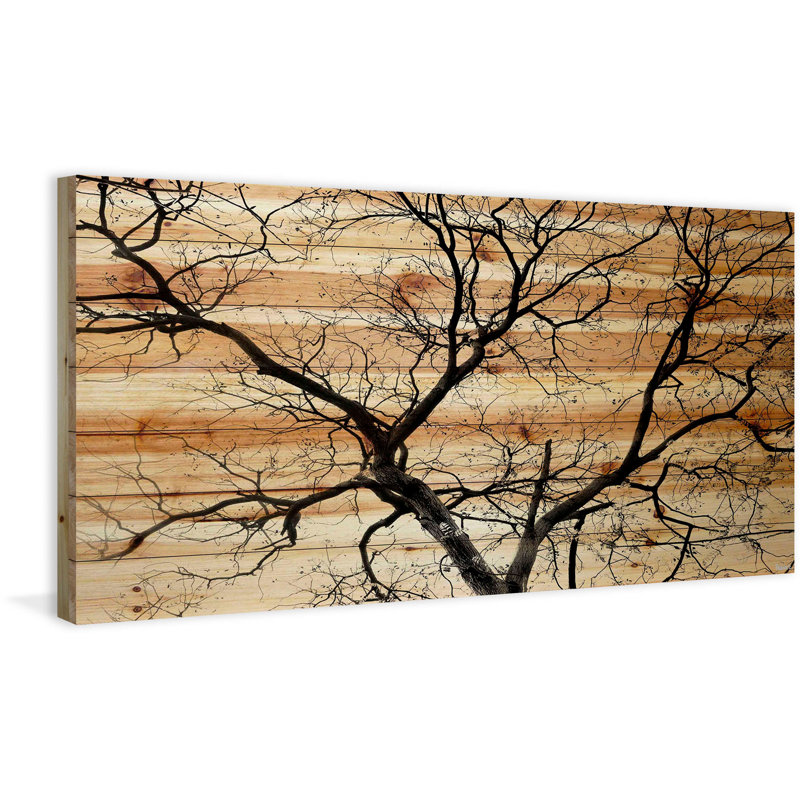«Branching Out» par Parvez Taj - Photographie sans cadre sur bois, H 22,5 po x l 45 po x P 1,5 po