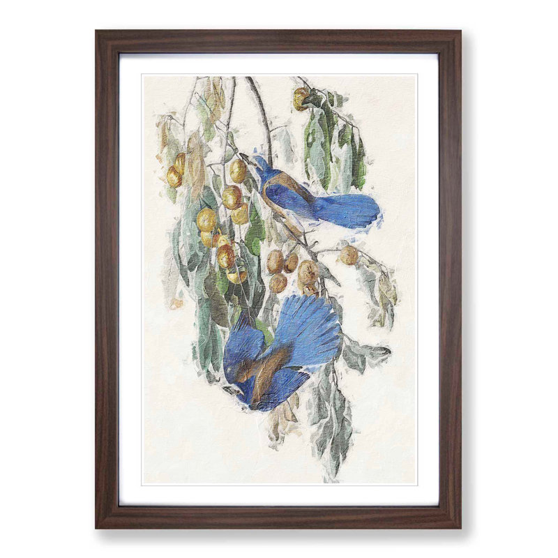 Florida Jay by John Audubon - Picture Frame Painting Print, Walnut Framed, 48cm H x 36cm W x 2cm D