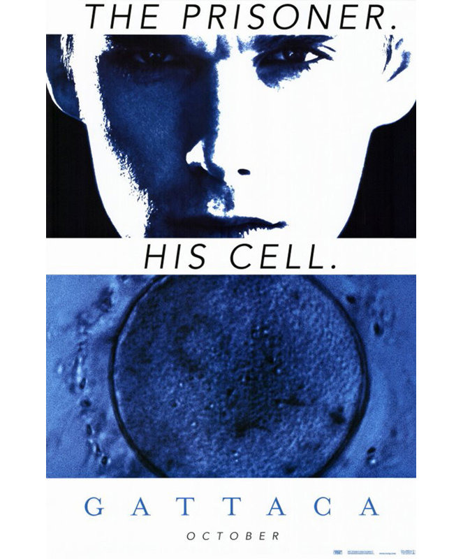 Gattaca, H 18 po x l 12 po