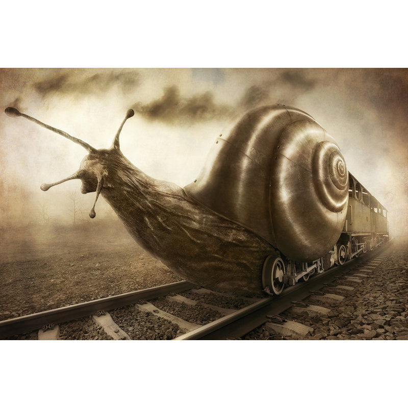 Wrapped Canvas Print