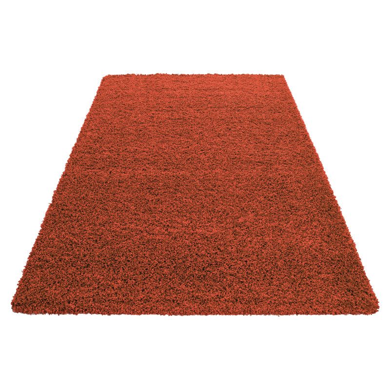 Riam Shaggy Area Rug, Rectangle 200 x 290cm