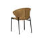 Upholstered Dining Chair-159988042