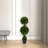 Vickerman Artificial Cedar Ball Topiary 36'' Faux Topiary in Pot Liner