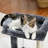 Cullinan 17.4'' H Cat Tree