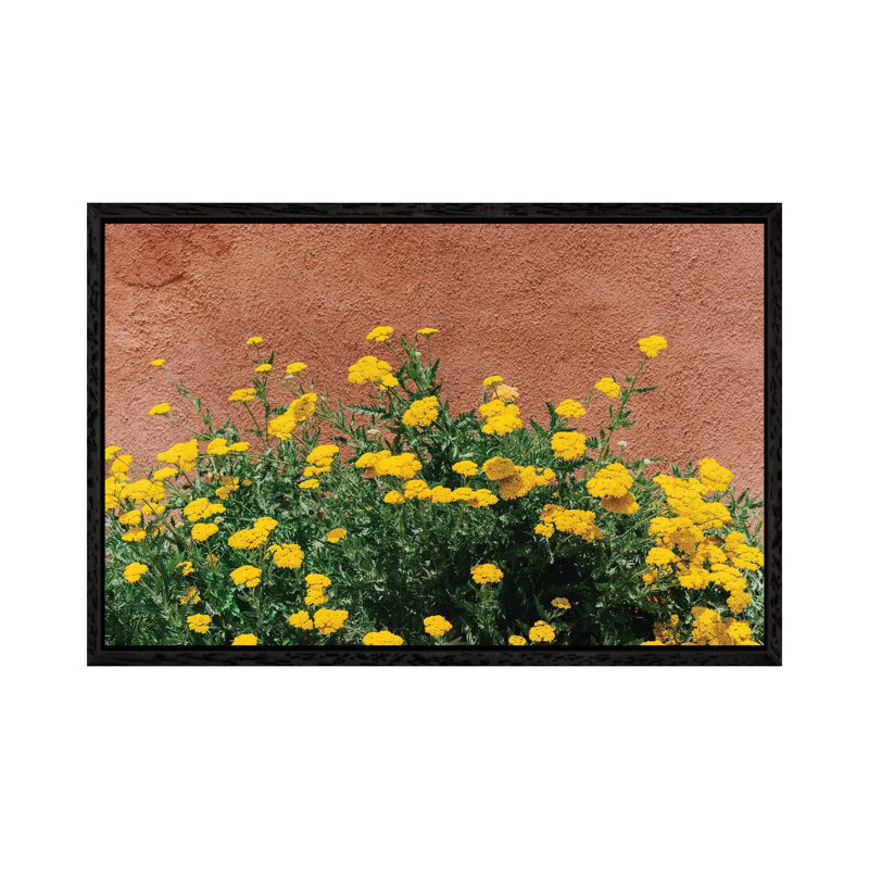 New Mexico Blooms by Bethany Young - Print on Canvas, 66.04cm H x 101.6cm W x 3.81cm D, Black Framed