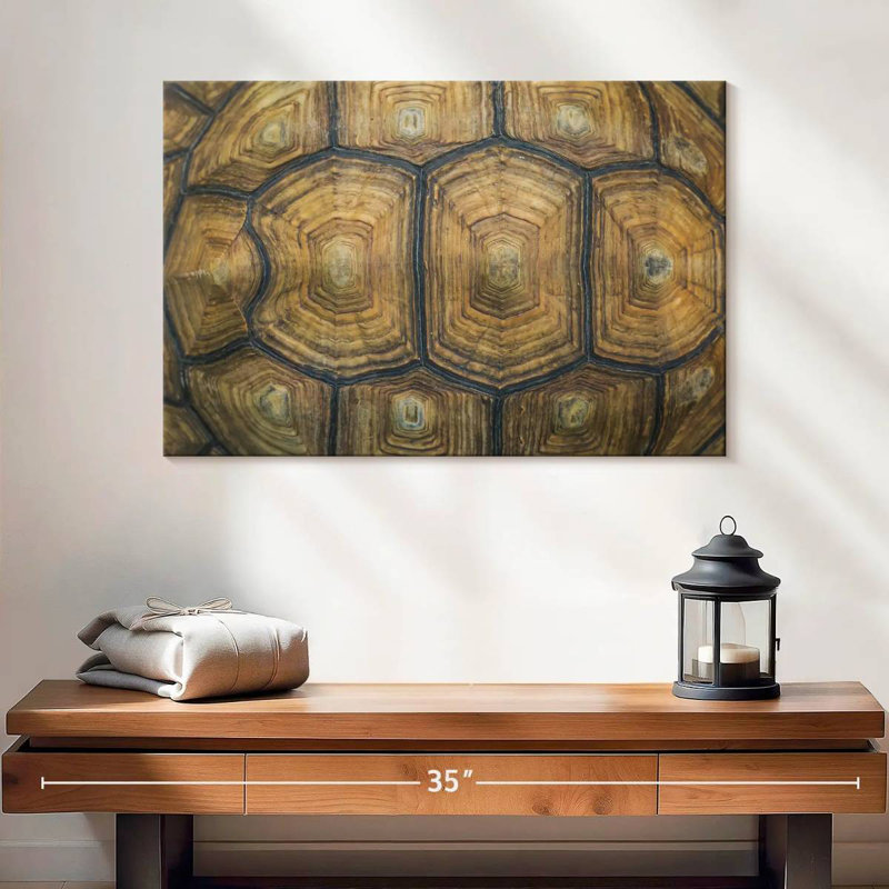 Brampt Giant Tortoise Shell, 16" H x 24" W