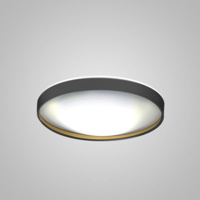 Alina Simple Circle Flush Mount
